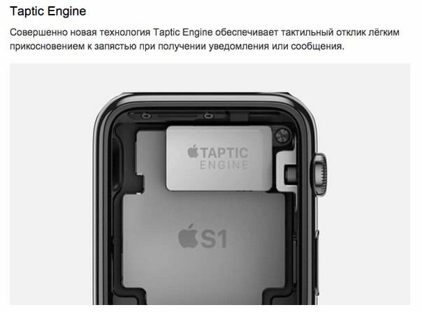 taptic-engine-apple-iwatch.jpg