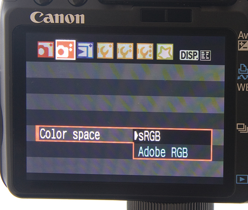 11-Canon_DSLR_tips_CAN22.feature_pf.5388rgb.jpg