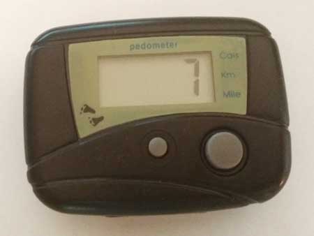 pic_pedometer.jpg