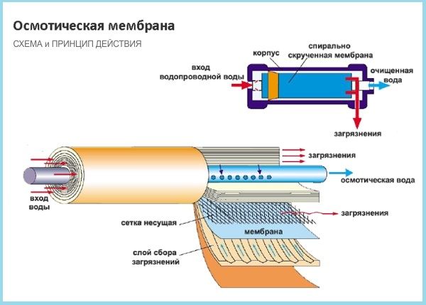 osmoticheskaya-membrana.jpg