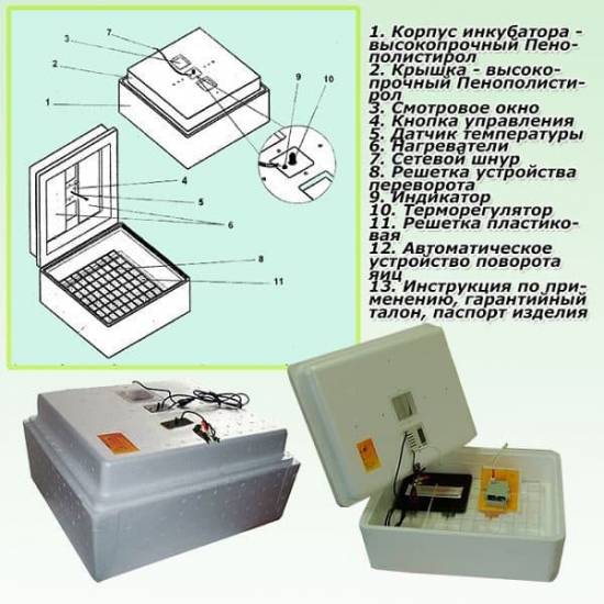 Komplektatsiya-inkubatora-Nesushka-600x600.jpg