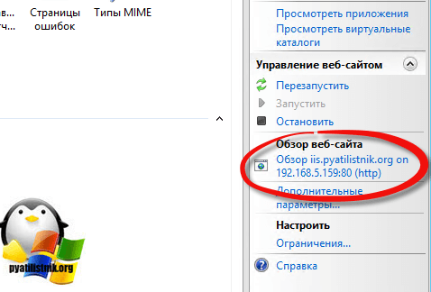 zapuskaem-sozdannyiy-sayt-na-iis-v-Windows-Server-2012.png