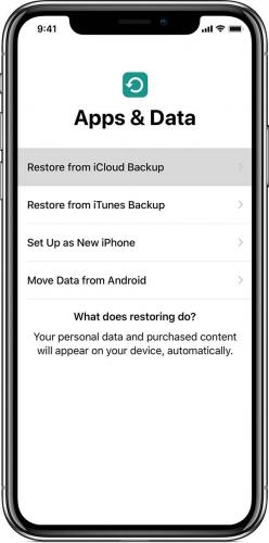 ios12-iphone-x-setup-restore-from-icloud-backup.jpg