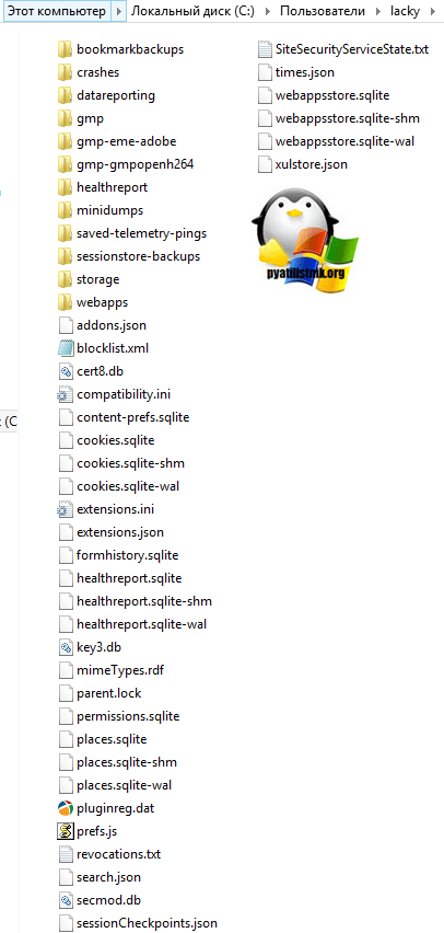Gde-hranyatsya-nastroyki-firefox-2.png