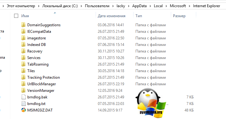 Gde-hranyatsya-nastroyki-internet-explorer-2.png
