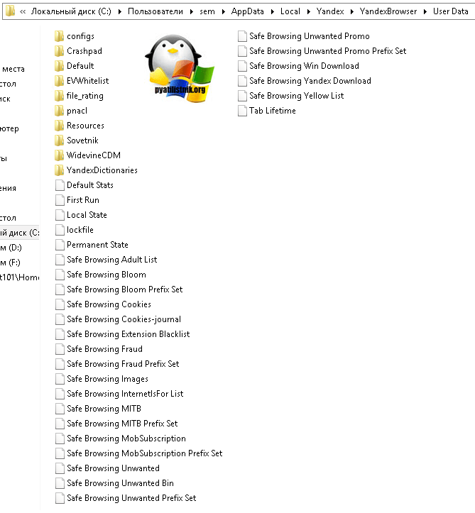 Gde-hranyatsya-nastroyki-brauzerov-v-Windows.png