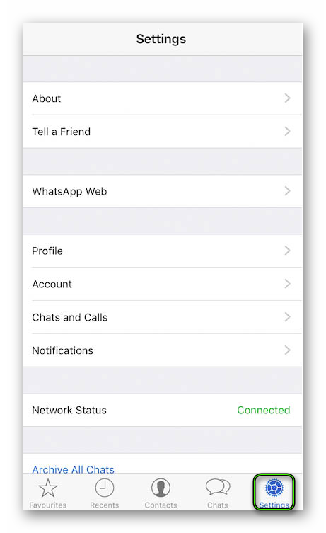Perehod-v-Nastrojki-dlya-iOS-versii-messendzhera-WhatsApp.png