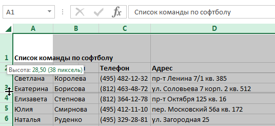 shirina-stolbtsov-vysota-strok-excel-11.png