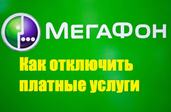 megafon.jpeg