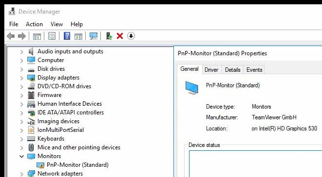 drayver-monitora-team-viewer-pnp-montor-standard.jpg