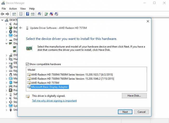 Microsoft-Basic-Display-Adapter.jpg