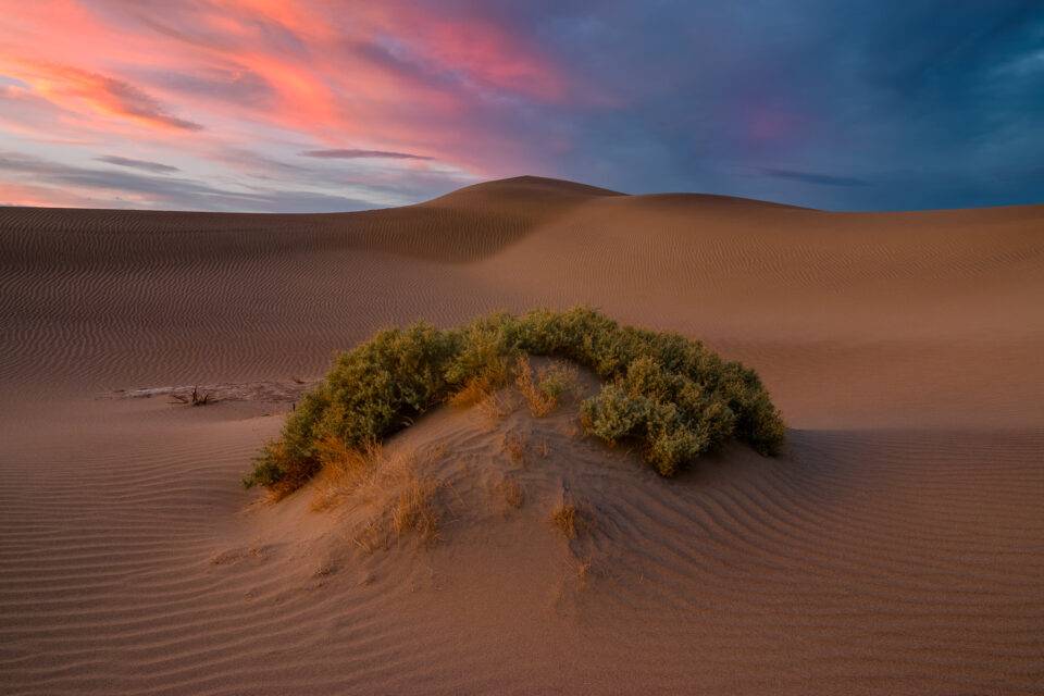 Death-Valley-NP-5-960x640.jpg