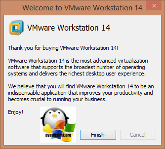 Aktivatsiya-Vmware-Workstation-14-02.png