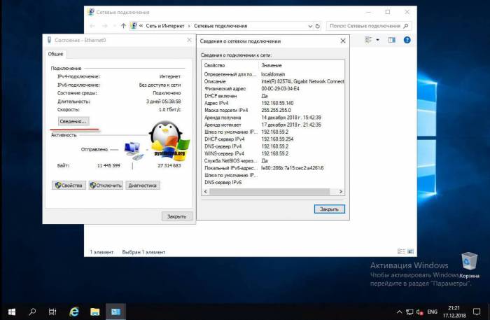 Svedeniya-setevogo-interfeysa-v-Windows-2019.jpg