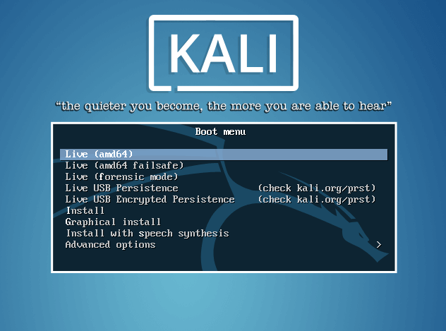 ustanovka-kali-linux-231.png