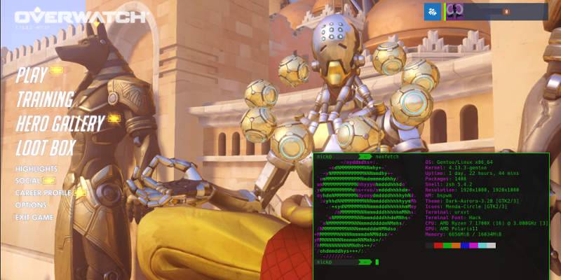 Overwatch In Wine On Gentoo