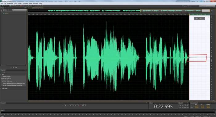 adobe-audition-practice-voice-processing-11.jpg