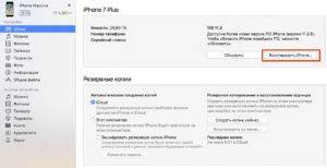 iPhone X(s/r)/8/7/6 не видит наушники проводные или беспроводные