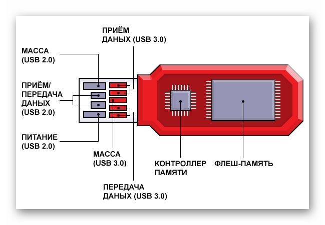 Shema-fleshki.png