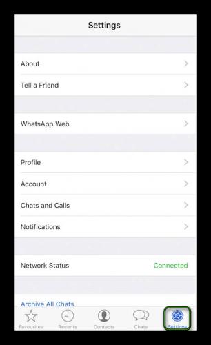 Perehod-v-Nastrojki-dlya-iOS-versii-messendzhera-WhatsApp.png
