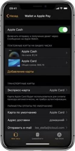 nastroyka-apple-pay.jpg