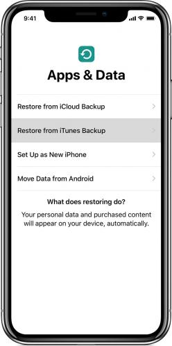 ios12-iphone-x-setup-restore-from-itunes-backup.jpg