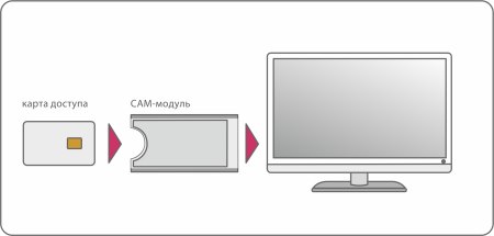 sxema-podkliuchenija-cam-modul.jpg