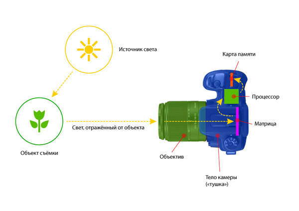 printsip-raboty-fotoaparata.jpg