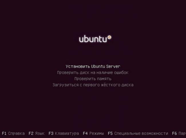 Install_Ubuntu_Server_18_04_4.jpg