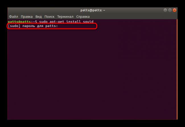 Vvod-parolya-dlya-skachivaniya-neobhodimyh-fajlov-Squid-v-Ubuntu.png