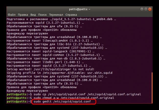Zapusk-konfiguratsionnogo-fajla-Squid-v-Ubuntu-dlya-dalnejshego-redaktirovaniya.png