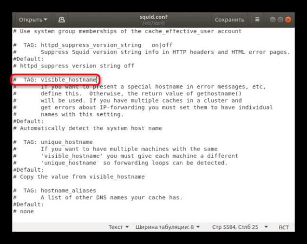 Ustanovit-imya-hosta-v-konfiguratsionnom-fajle-Squid-v-Ubuntu.png