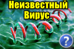 Udalyaem-neizvestnyiy-virus.png