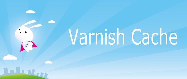 varnish-cache.png