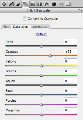 ACR-hsl-saturation.jpg