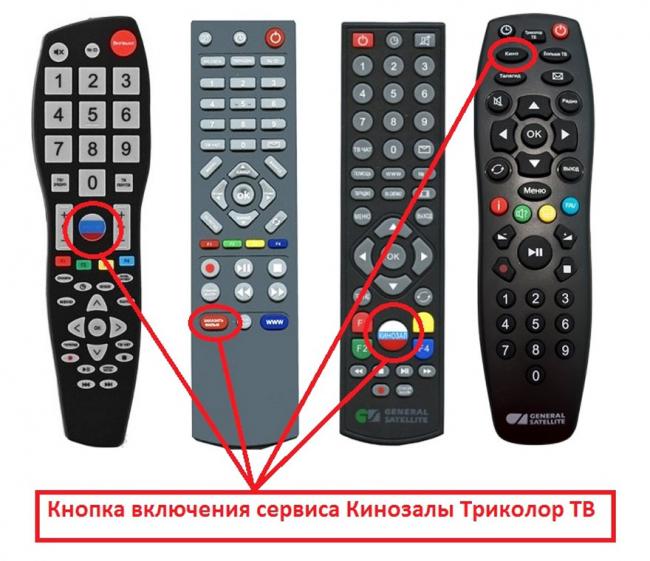 knopka_kinozal_tricolor.jpg