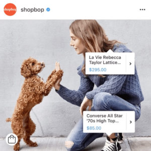 Shoppable-instagram-posts-300x300.jpg