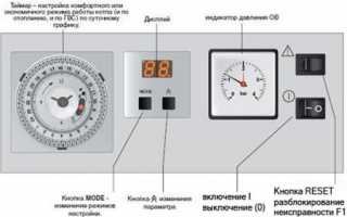 Видео обзор напольного котла Protherm Медведь