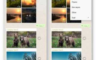 Ватсап автоматически сохраняет фото на телефон: как отключить автосохранение фотографий в галерею
