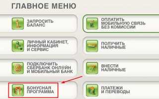 Бонусная программа «Спасибо от Сбербанка» – условия, особенности и нюансы