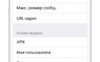 Включение и настройка точки доступа на айфоне: почему не включается