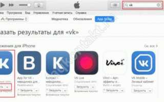 Как и где скачать ВК на IPhone: инструкция по загрузке