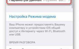 Инструкция по подключению интернета на iPhone