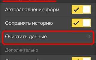 Как удалить историю запросов в Яндексе браузере