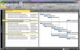 Использование MS Project для управления проектами по разработке ПО