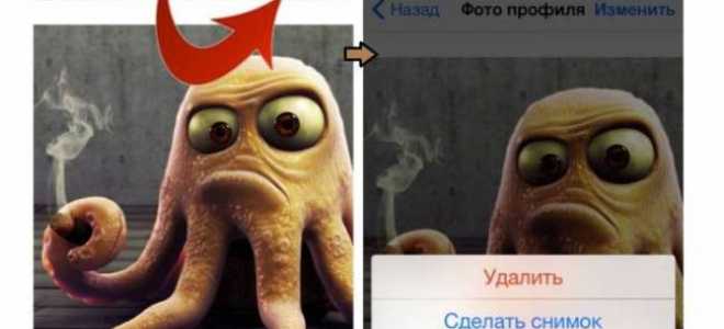 Изменение и удаление фото профиля в мессенджере WhatsApp