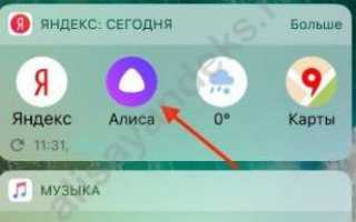 «Яндекс» выпустил голосового ассистента «Алиса» для iOS