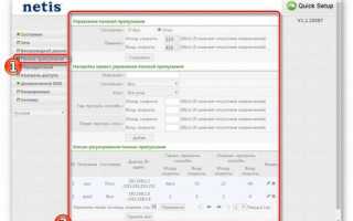Как подключить и настроить маршрутизатор Нетис