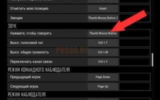 Как исправить не рабочий голосовой чат в PUBG