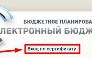 ssl.budgetplan.minfin.ru — Вход по сертификату